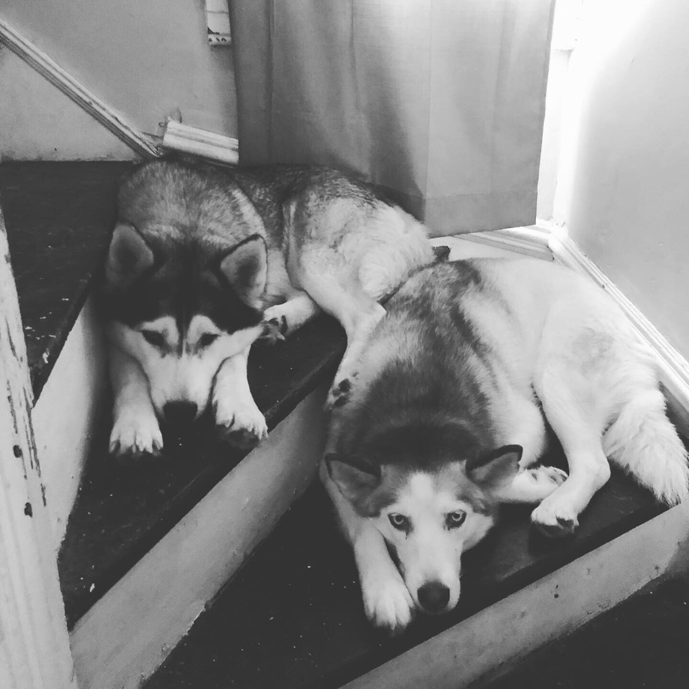 Meet your Posher, Kim